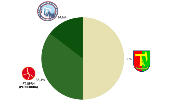 Pemegang Saham